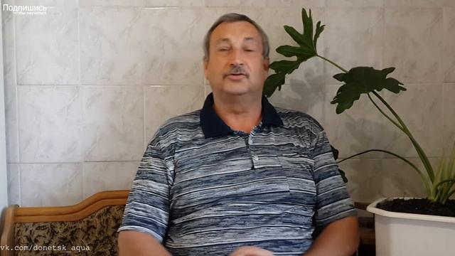 донецк аква, ответы на вопросы 2, все о аквариумных рыбках, советы, как содержать, как отнерестить смотреть онлайн