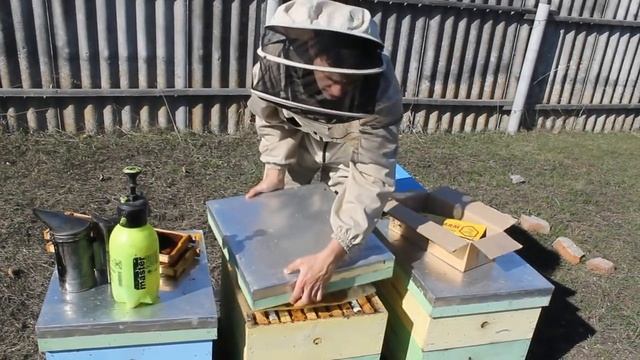 Ревизия окончена. Делаем выводы по результатам зимовки смотреть онлайн