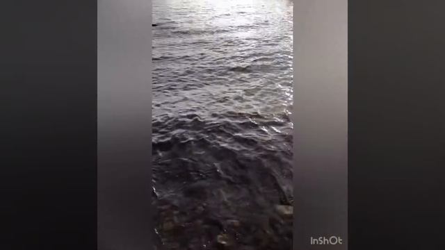 Вокруг Ладожского озера смотреть онлайн
