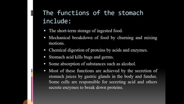 Gastrointestinal system GIT - Organs of GIT смотреть онлайн