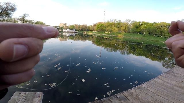 шнурик-флюрик смотреть онлайн