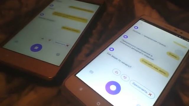 Две Яндекс Алисы хотят избить парня! :D смотреть онлайн