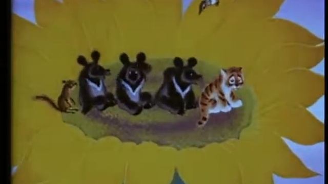 Тигренок на подсолнухе