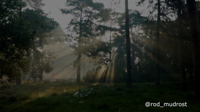 Мантра соединения с Родом Славяно-Арийская смотреть онлайн