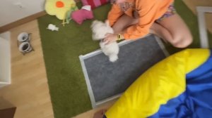 Наша СОБАКА СПУСТЯ МЕСЯЦ ?