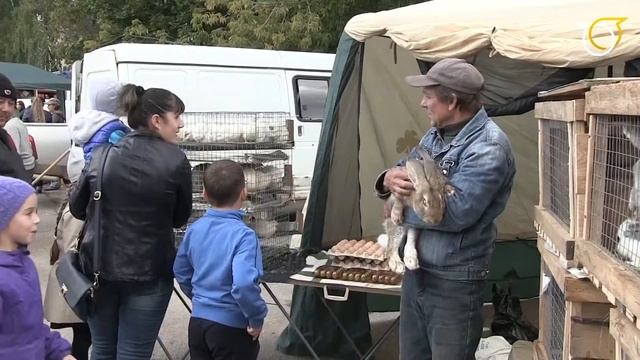 Праздник урожая 2016 прошел в Петушинском районе смотреть онлайн