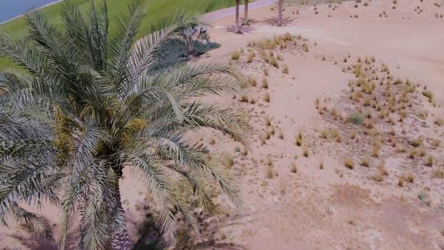 Полеты на DJI Phantom 4 | Черное море, Барселона, Москва смотреть онлайн