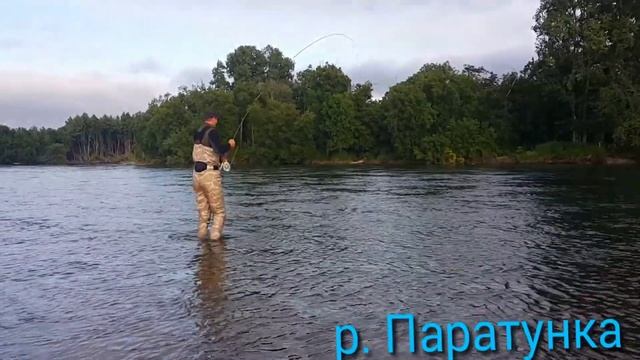 Первая кета 2016 года на реке Паратунка смотреть онлайн