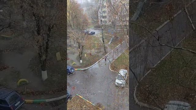 Погода Сейчас🌨️ в Брянске в Советском р. #погода #Светиквидео #брянсксейчас #брянск #снег смотреть онлайн