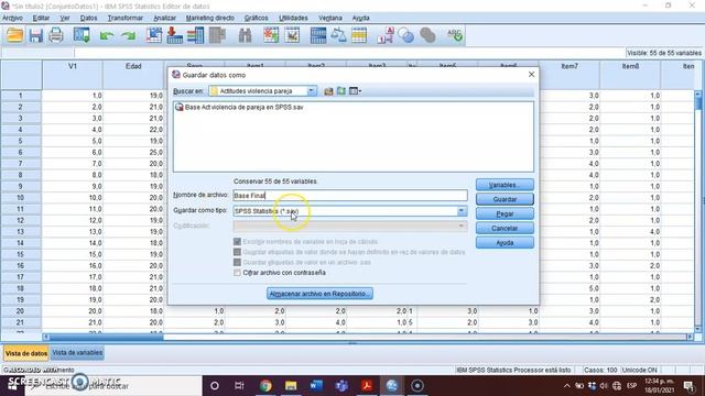 Abrir, editar y guardar bases en SPSS смотреть онлайн