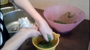 СОК ПОДОРОЖНИКА Лечим желудок, пищевод,кишечник, СРК, панкреатит