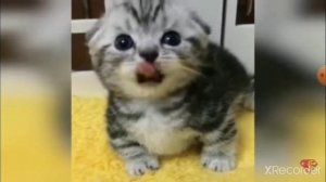 надо много кушать, надо много спать