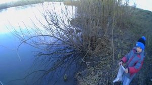 Рыбалка электронной приманкой Predator