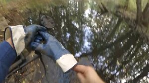 Жуткая Речка и много находок на Поисковый Магнит, search magnet