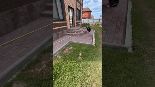 Демонтаж бетонной отмостки, монтаж утеплённой отмостки с мощением брусчаткой смотреть онлайн