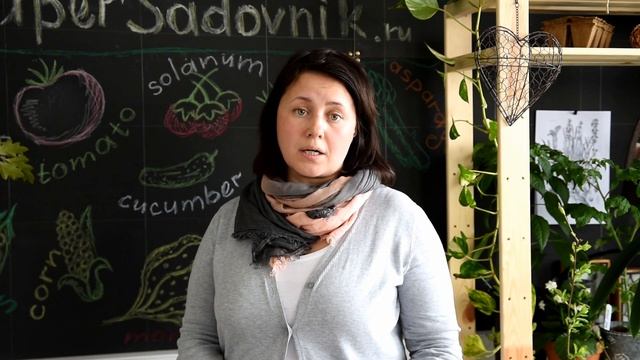 Как бороться с борщевиком на участке? смотреть онлайн