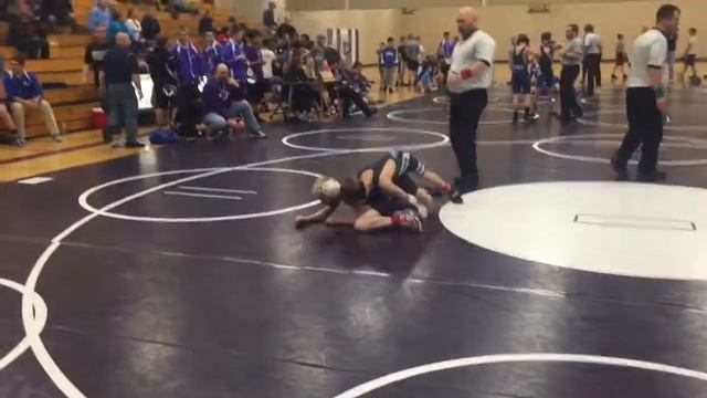 2015 Joe v Albany at Albany смотреть онлайн