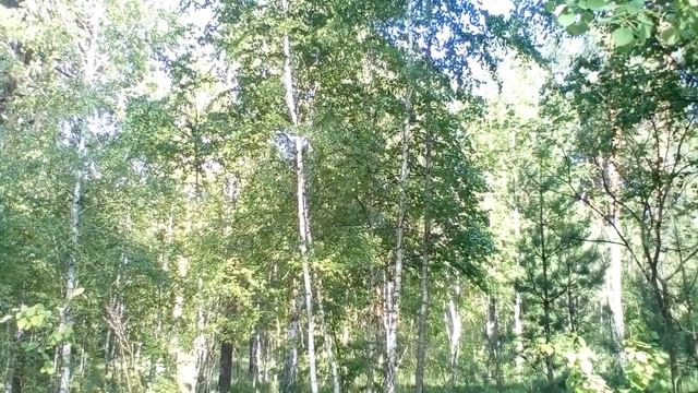Христианские стихи с глубоким смыслом. смотреть онлайн