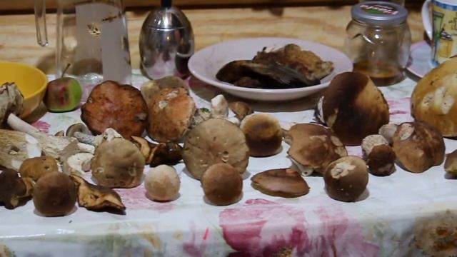 Продам земельный участок в КП ИЖС смотреть онлайн