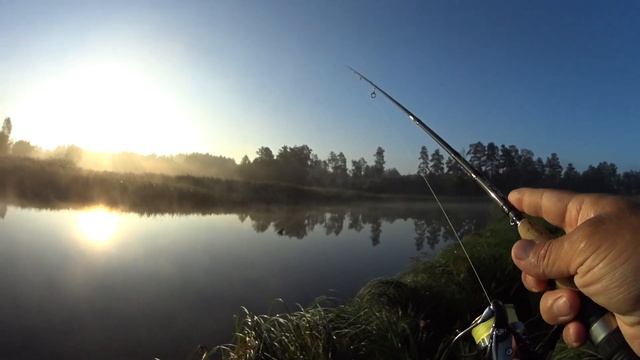 КРУПНЫЙ ОКУНЬ в черте города!!! Окунь на спиннинг в августе. смотреть онлайн