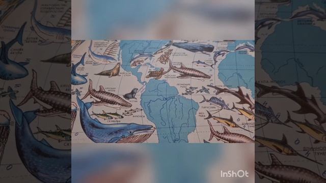 В день когда за ночью следует тень.