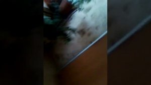 Мальчик в трусах смотреть явсем!!! :D