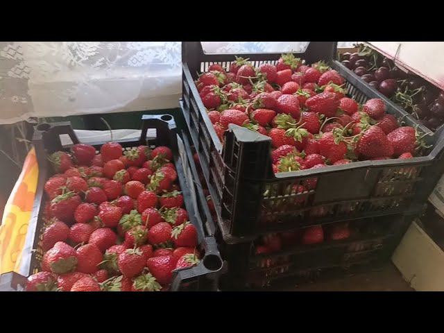 Ездили на оптовую базу !!!