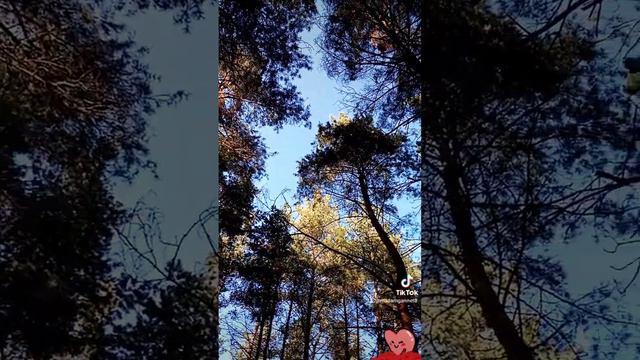 Аннинский район, село садовое смотреть онлайн