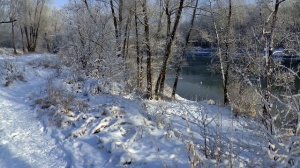 ? Волк спас ребенка – волк отомстил без крови. Таежные истории про животных. Случай в тайге