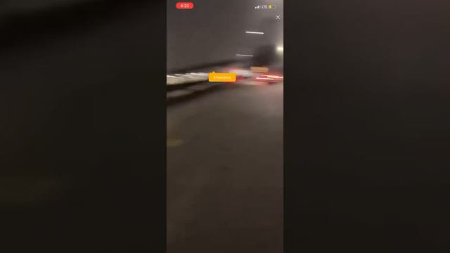 Greedy and savanna fight part 2 смотреть онлайн