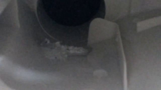 Стиральная машина AEG AMS8000I смотреть онлайн