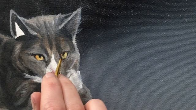 Painting a Cat Eye in Oil: 2 Min Painting Process Video смотреть онлайн