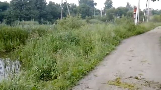 Продам участок 40соток возле реки с.Буки Жит.обл 47000$