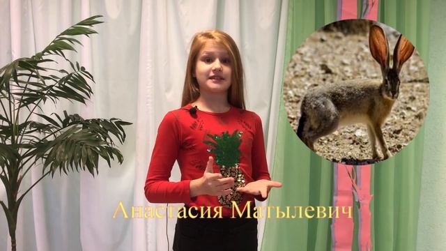 Зачем зайцу большие уши? смотреть онлайн