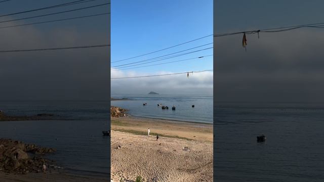 Мой романтик #зубарев #шутки #юмор смотреть онлайн