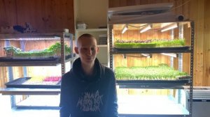 Таблица посадки микрозелени для новичков! Сколько грамм семян на бокс?