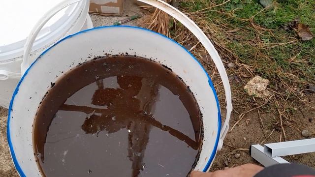 Ovako napravite univerazlno đubrivo za paradajz od rasada do berbe смотреть онлайн