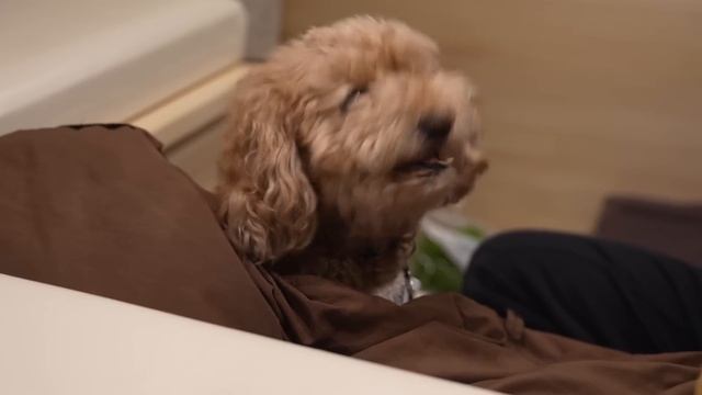 瀬戸内海の森キャンプ場露天風呂からも瀬戸内海を一望できる超人気キャンプ場が想像を超えてきた