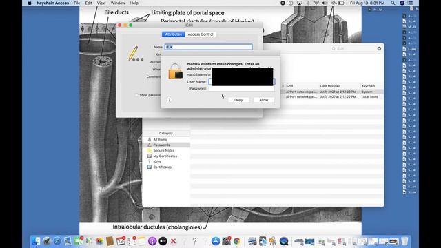 How To Find Out Your WIFI PASSWORD On MAC- *IF* You *FORGOT IT*
