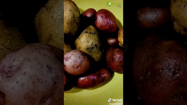 Удобрение из кожуры картофеля #Shorts