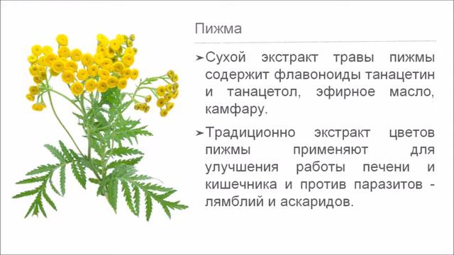 Еломил пора поставить крест смотреть онлайн