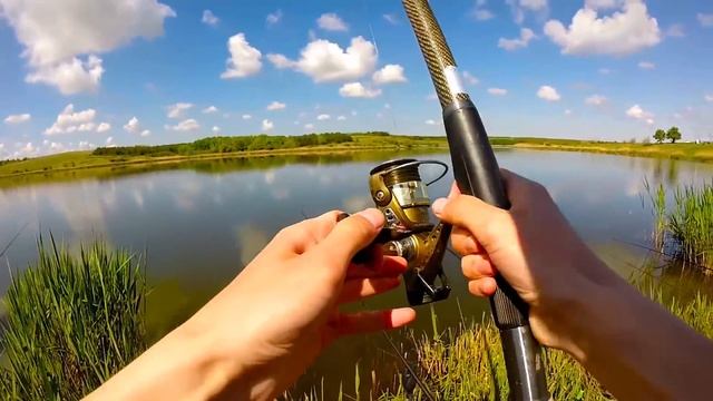Ловля карпа на донку весной.Рыбалка.Fishing смотреть онлайн
