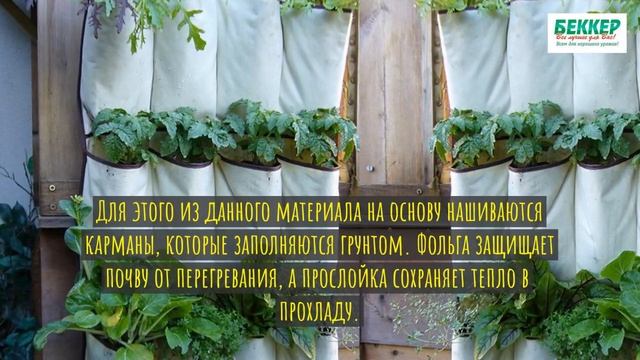 Богатый урожай на маленьком участке смотреть онлайн