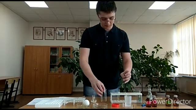 Чемпимонат Москвы WSR Junior 2018 лабораторный медицинский анализ Романчук М А смотреть онлайн