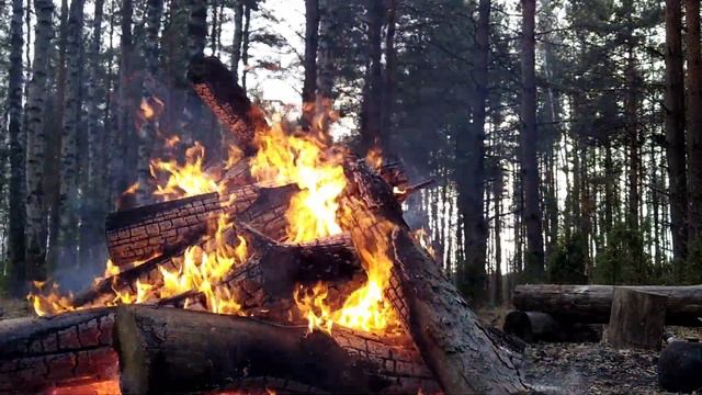 Сказка 1. Как птицы с северным сиянием поменялись смотреть онлайн