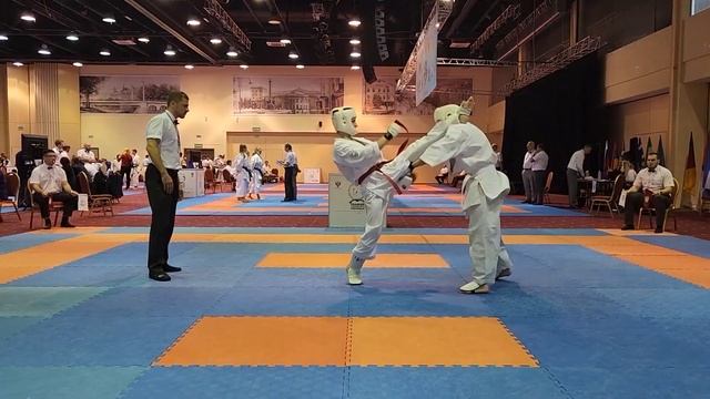 Чемпионат и первенство Мира по Всестилевому каратэ.