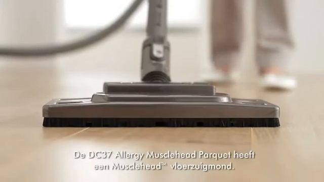 Dyson DC37 Instore Video