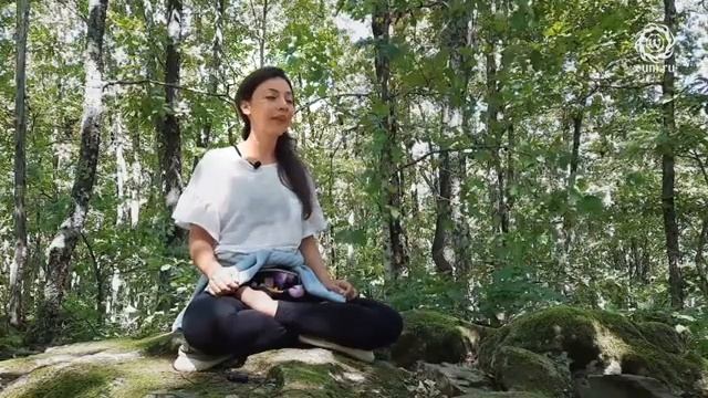 Дольмены. Как практиковали мудрецы прошлого. Алла Долгова смотреть онлайн