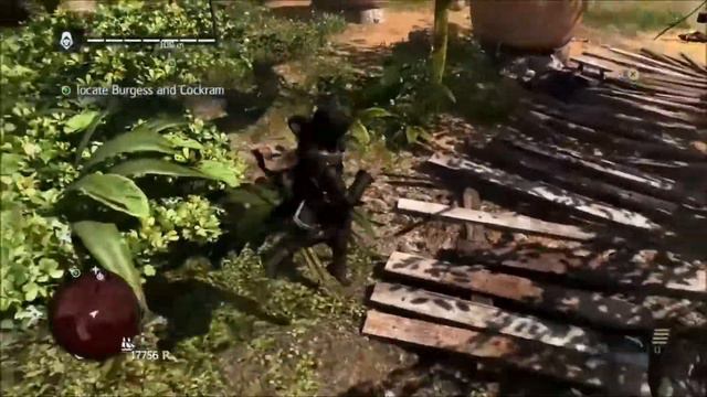 Assassin's Creed IV: Black Flag Kavkaz Edition смотреть онлайн