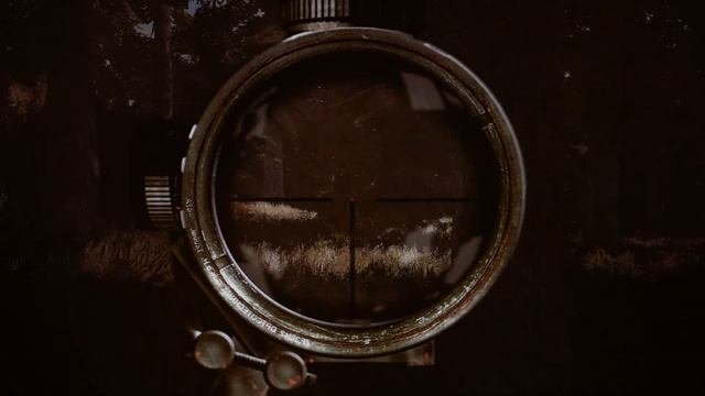 No time for a Ukrainian Picnic in the Red Forest! (STALKER: Call of Chernobyl) смотреть онлайн